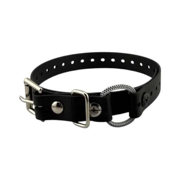 3/4" Mini Bungee Collar Strap for Small Dogs