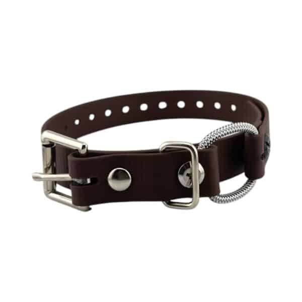 3/4" Mini Bungee Collar Strap for Small Dogs - Image 3