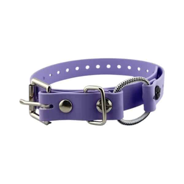 3/4" Mini Bungee Collar Strap for Small Dogs - Image 5