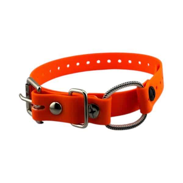 3/4" Mini Bungee Collar Strap for Small Dogs - Image 7