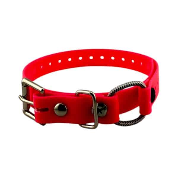 3/4" Mini Bungee Collar Strap for Small Dogs - Image 8