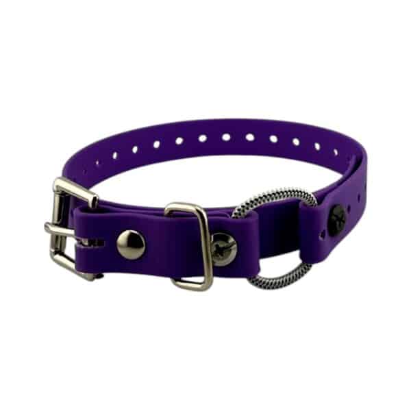 3/4" Mini Bungee Collar Strap for Small Dogs - Image 9