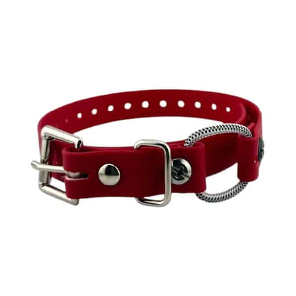 3/4" Mini Bungee Collar Strap for Small Dogs - Image 10