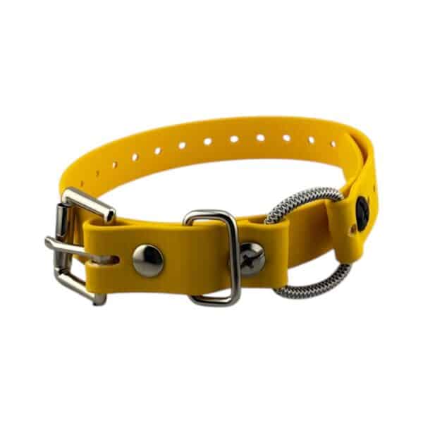 3/4" Mini Bungee Collar Strap for Small Dogs - Image 12