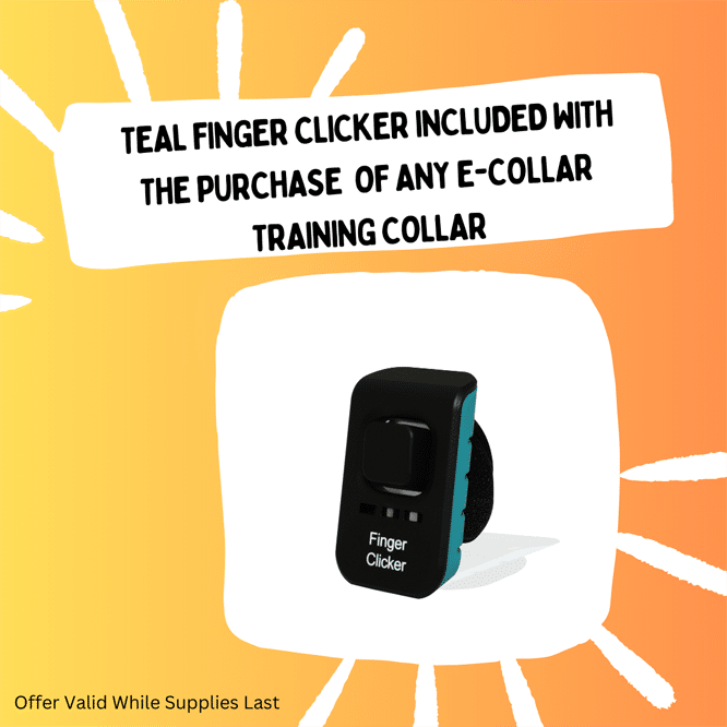 E-Collar with Vibration | Educator PG-300 Remote Dog Trainer - E