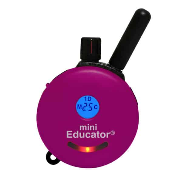 ET-300 MINI EDUCATOR® 1/2 MILE REMOTE E-COLLAR - Image 2