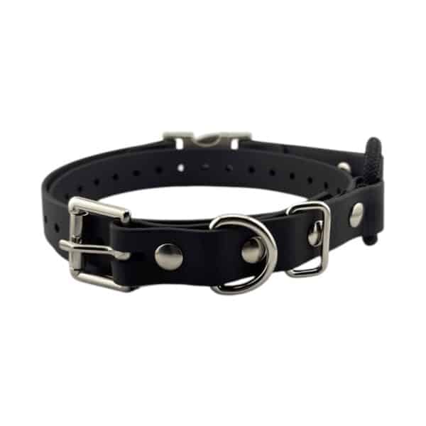 3/4" Quick-Snap Bungee Collar Strap