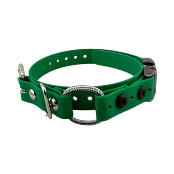 3/4" Quick Snap Mini Bungee Collar Strap for Small Dogs - Image 4