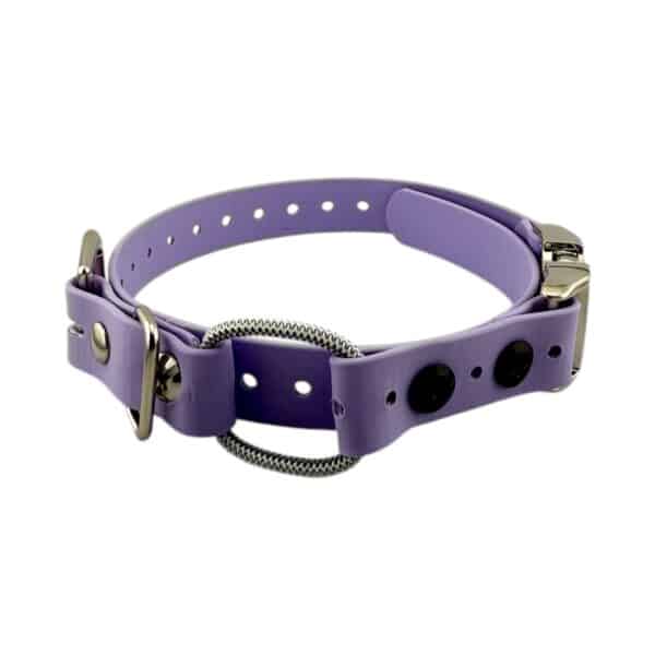 3/4" Quick Snap Mini Bungee Collar Strap for Small Dogs - Image 5