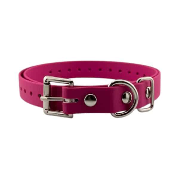 3/4" Standard Biothane Collar Strap - Image 6