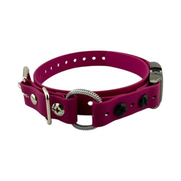 3/4" Quick Snap Mini Bungee Collar Strap for Small Dogs - Image 6