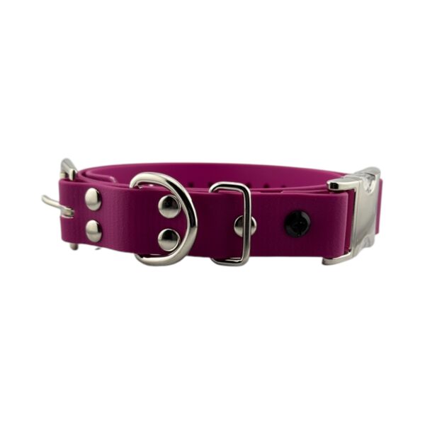 1" Quick Snap Biothane Collar Strap - Image 7