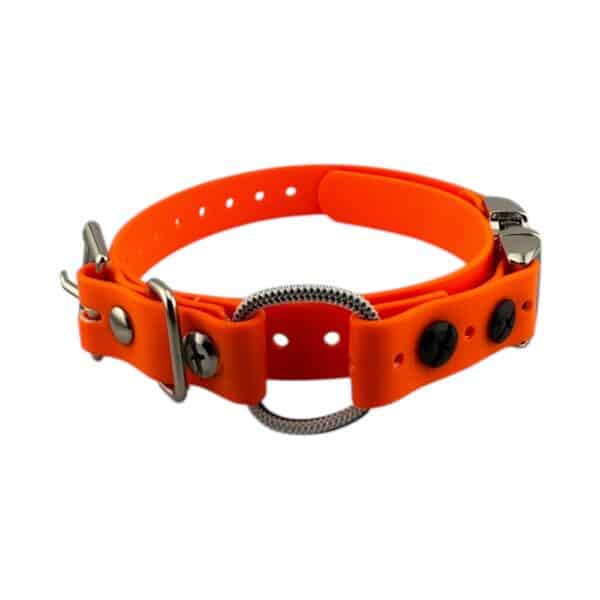 3/4" Quick Snap Mini Bungee Collar Strap for Small Dogs - Image 7