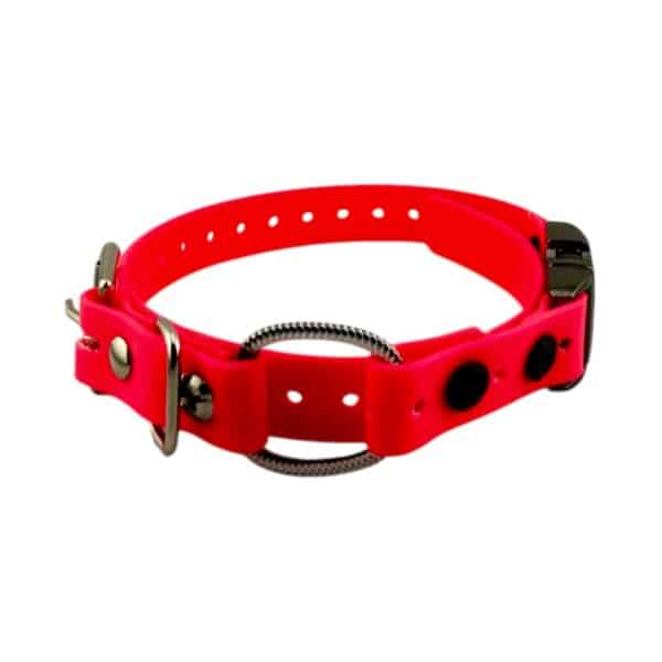 3/4" Quick Snap Mini Bungee Collar Strap for Small Dogs - Image 8